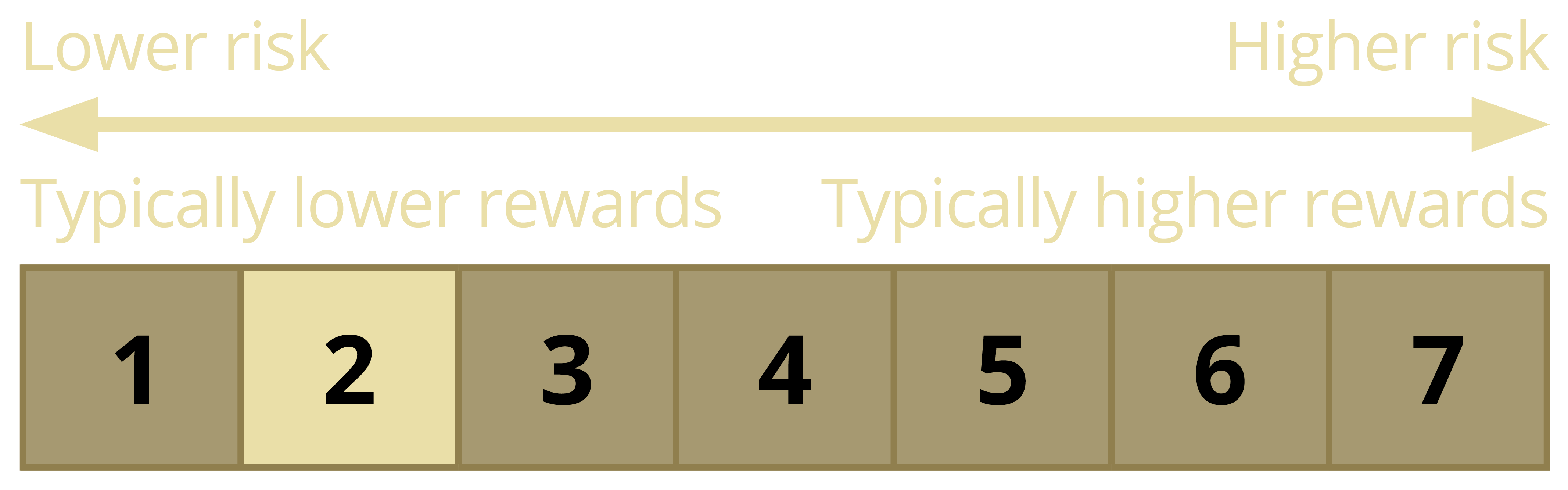 SRRI Indicator